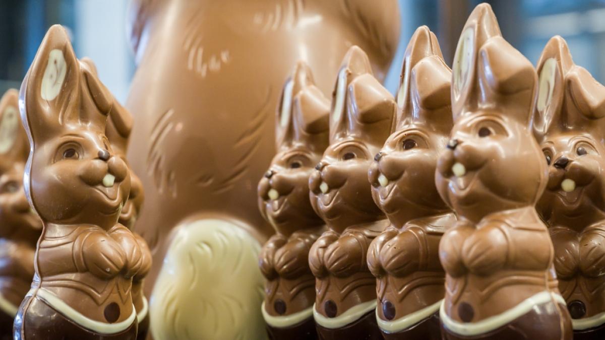 Schoko-Hasen geh&ouml;ren zu Ostern einfach dazu - allerdings machen die aktuellen S&uuml;&szlig;igkeitenpreise derzeit wenig Lust auf Gro&szlig;eink&auml;ufe, obwohl der Kakaopreis im Sinkflug begriffen ist. (Foto)