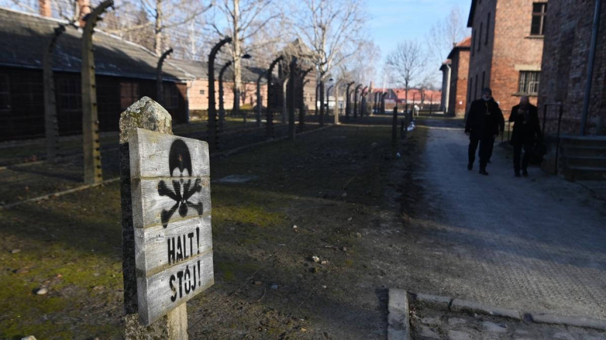 B&uuml;cher und Filme als Teil der Erinnerungskultur an den Holocaust (Symbolfoto). (Foto)