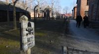 Bücher und Filme als Teil der Erinnerungskultur an den Holocaust (Symbolfoto).