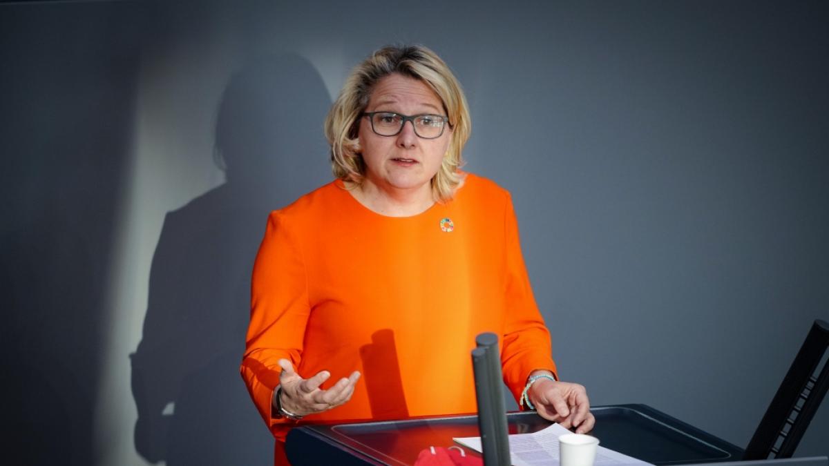 Svenja Schulze forderte dazu auf, weniger Fleisch zu essen. (Foto)