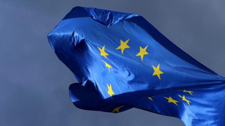 Ende Mai findet die Europawahl 2019 statt.