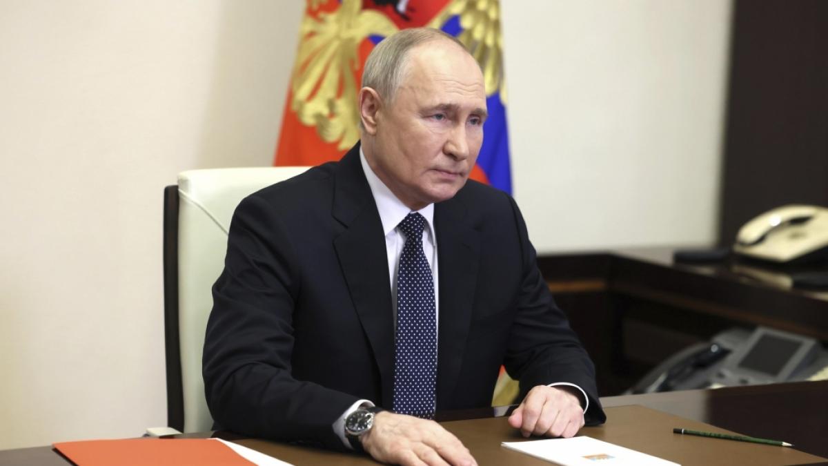 Kreml-Insider packen &uuml;ber Wladimir Putins geheime Kriegspl&auml;ne aus. (Foto)