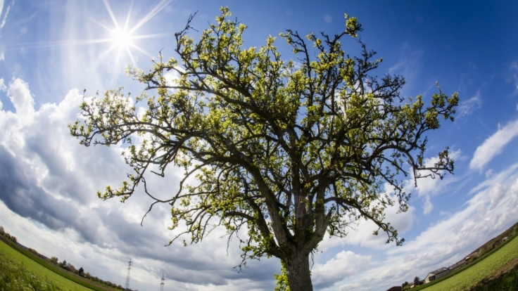 Der Frühling gibt mit Temperaturen über 20 Grad sein Stelldichein.
