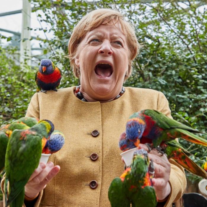 Clubhouse, Squid Game, Merkel! DAS waren die Trends des Jahres