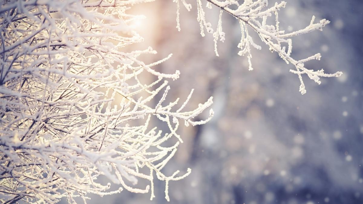 Wie wird das Wetter im Winter 2021/22? (Foto)