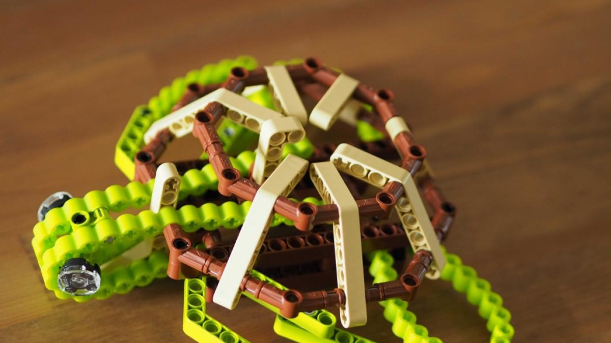 Und fertig ist die Schildkr&ouml;te. (Foto)