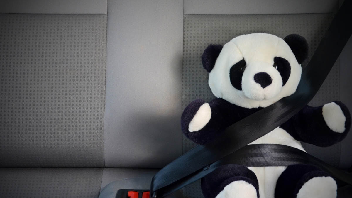 Die beiden toten Kinder sa&szlig;en angeschnallt auf dem R&uuml;cksitz des Autos. (Symbolbild) (Foto)