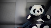 Die beiden toten Kinder saßen angeschnallt auf dem Rücksitz des Autos. (Symbolbild)