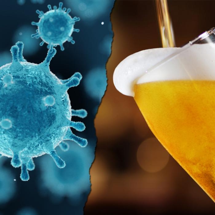 Mit Bier gegen Sars-CoV-2? Wissenschaftler veröffentlichen erstaunliche Studie