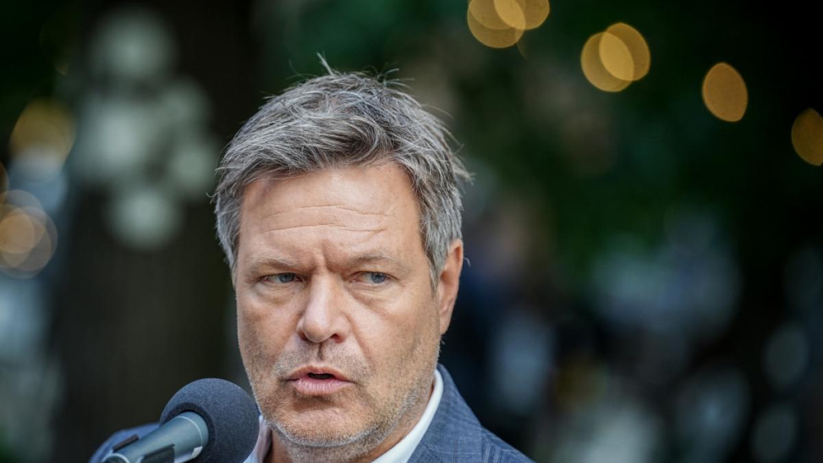Habecks Heiz-Hammer kommt in den Bundestag. (Foto)