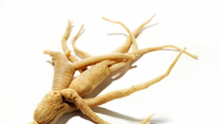 Ginseng findet in der chinesischen Heilkunst seit tausenden Jahren Anwendung.
