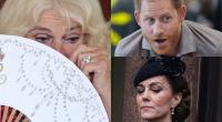 Königin Camilla, Prinz Harry und Prinzessin Kate machten in den vergangenen Tagen alle erdenklichen Emotionen durch, wie ein Blick in die Royals-News zeigt.