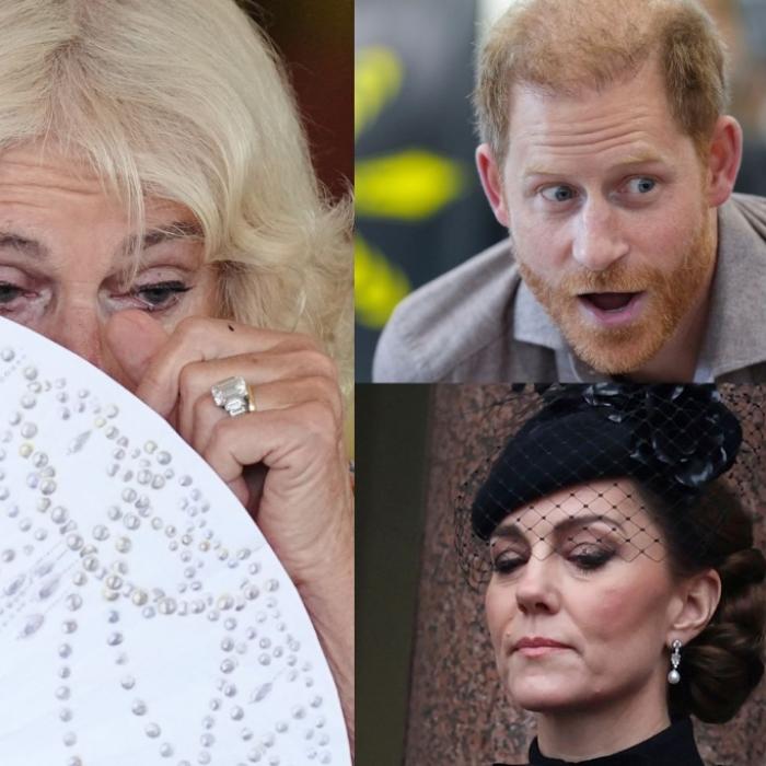 Royals im Strudel von Todesdrama, Enthüllungspanik und Soloplänen
