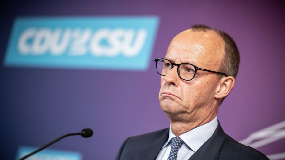 Friedrich Merz warf Ukrainern "Sozialtourismus" vor. Doch gibt es Belege f&uuml;r seine Aussagen? (Foto)