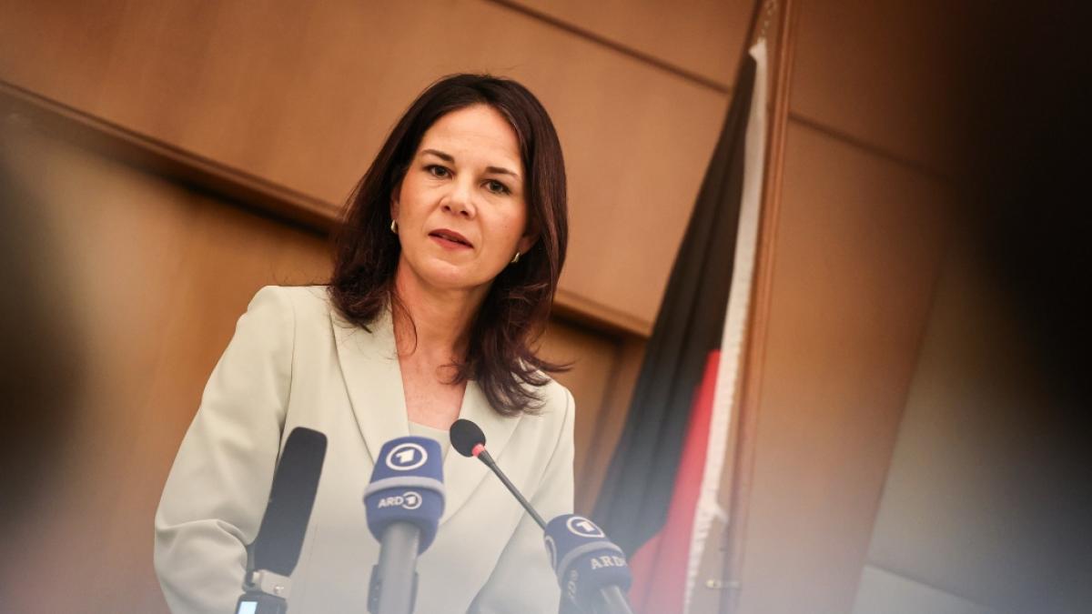 Annalena Baerbock will sich aus der &Ouml;ffentlichkeit zur&uuml;ckziehen. (Foto)