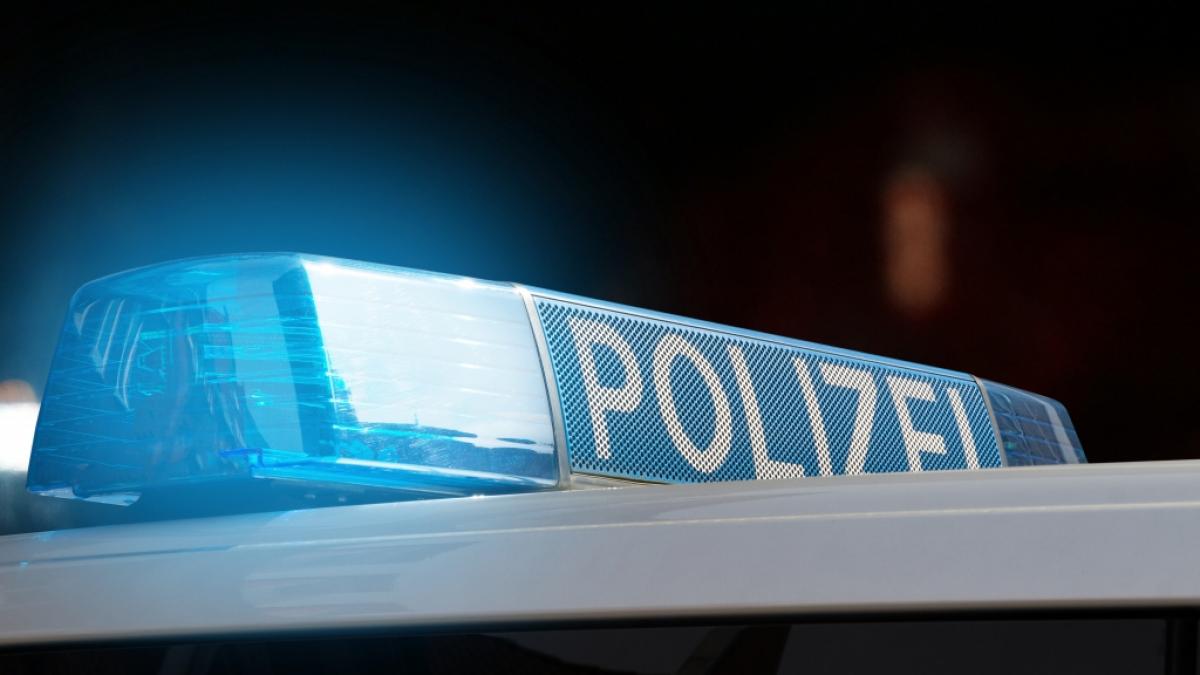 Ein mutma&szlig;licher Mord h&auml;lt die Polizei in Berlin in Atem. (Symbolfoto) (Foto)