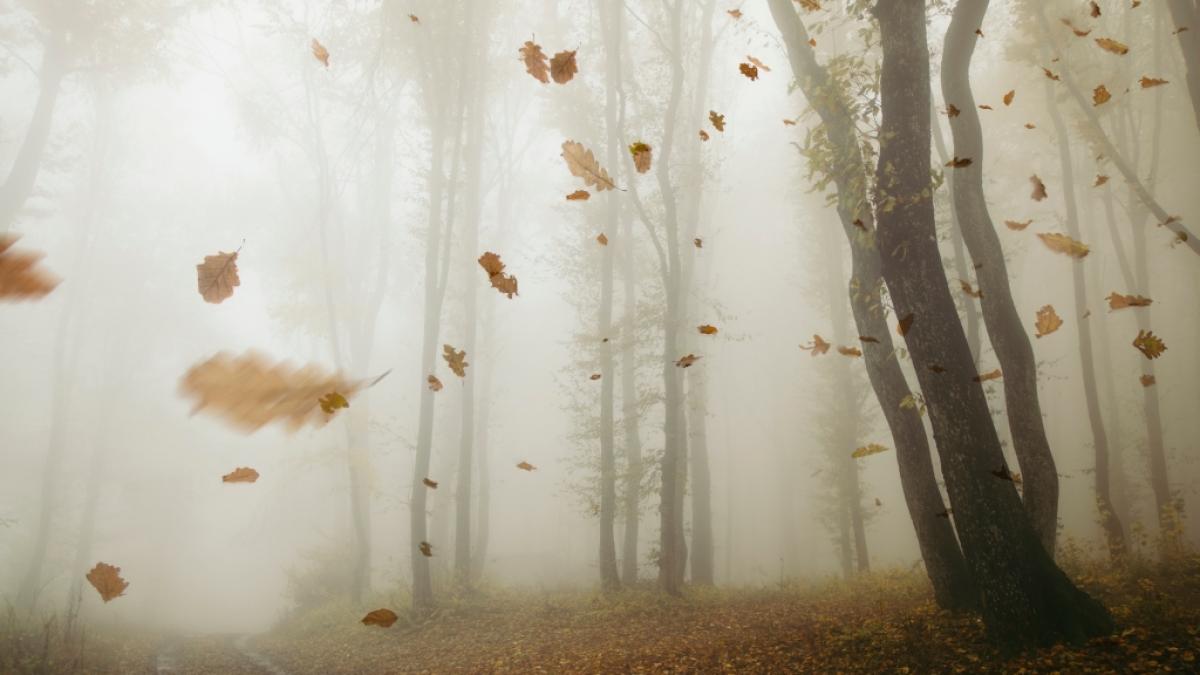 Wie wird das Wetter im November? (Foto)