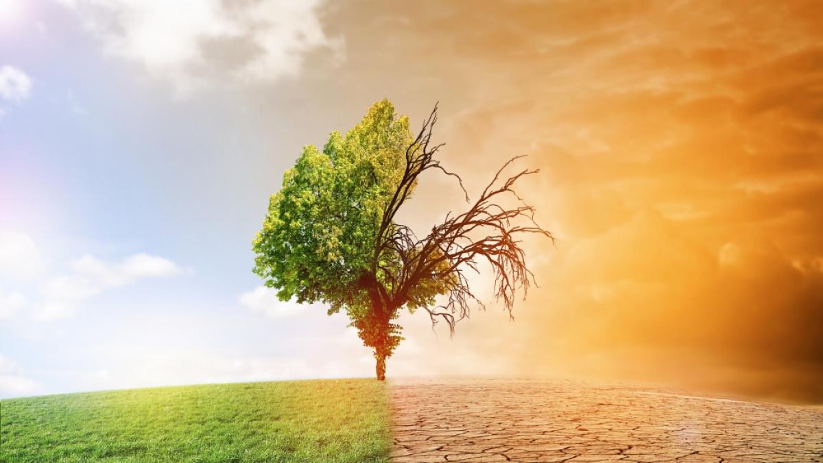 Wie k&ouml;nnen wir das 1,5-Grad-Klimaschutzziel erreichen? (Foto)