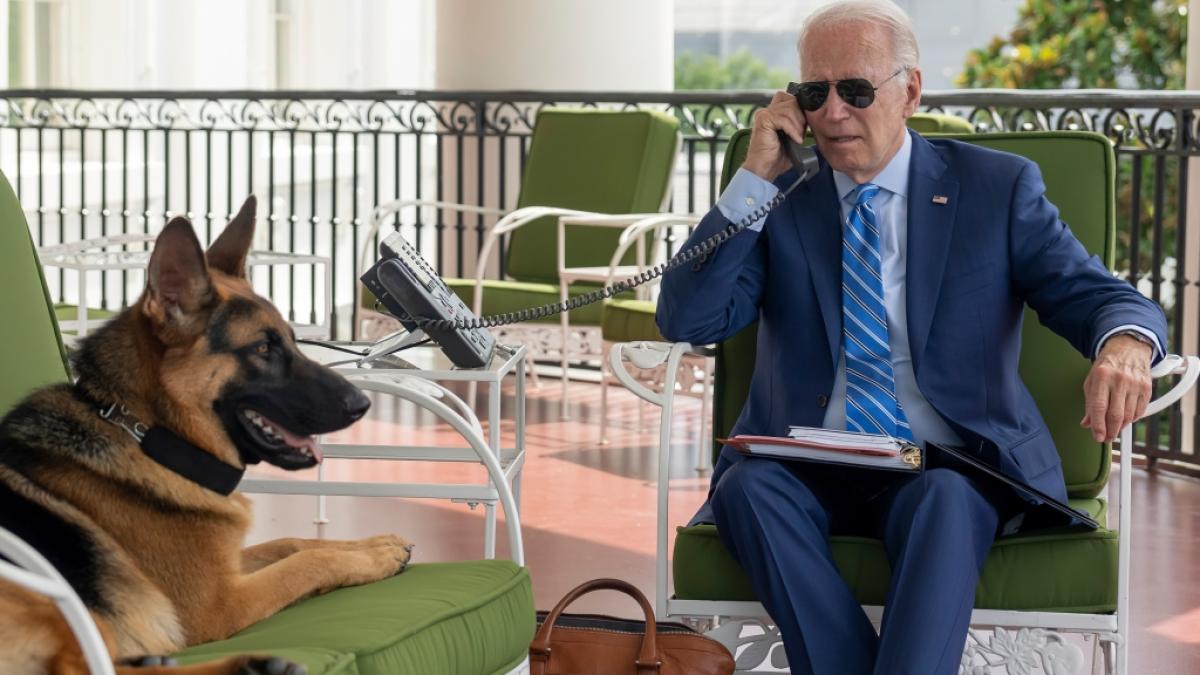 Hunde gelten als bester Freund des Menschen - mit seinem Vierbeiner, dem Sch&auml;ferhund "Commander", hat US-Pr&auml;sident Joe Biden jedoch nichts als Kummer. (Foto)