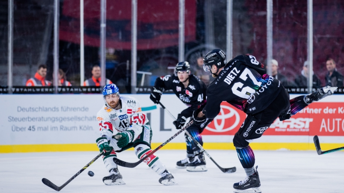 Eishockey im Fernsehen: Das sind die aktuellen TV-Highlights. (Foto)