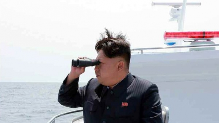 Kim Jong Un wollte auf Schildkrötenfarm Hummer essen.