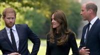 Prinzessin Kate zwischen den Fronten: Ihr Schwager Prinz Harry (li.) und ihr Ehemann Prinz William (re.) sind seit geraumer Zeit verkracht.
