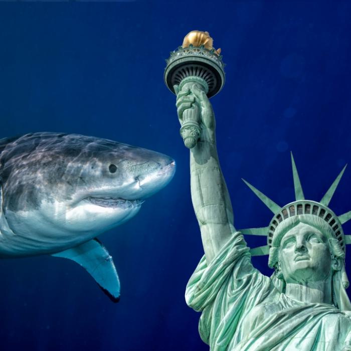 Schwer verletztes Opfer! Meeresräuber greift am Big Apple an