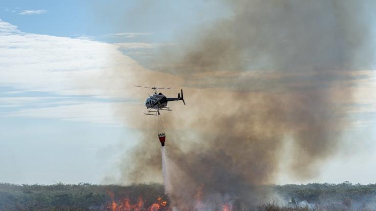Ein Lösch-Hubschrauber fliegt über dem Amazonasgebiet.
