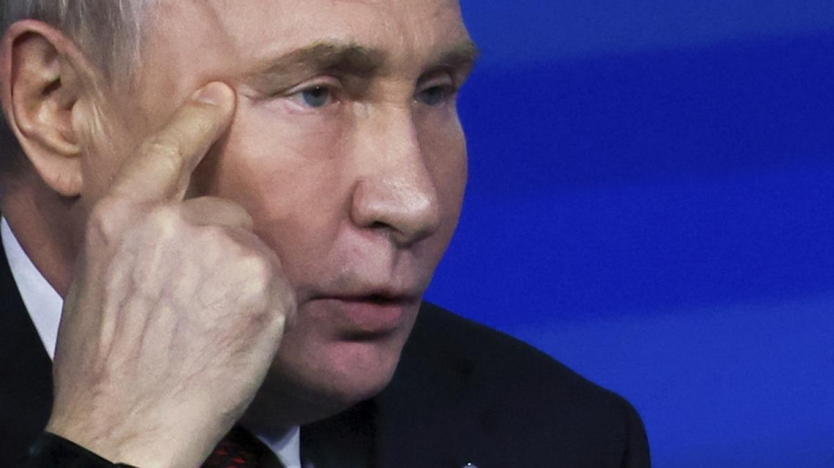 Wladimir Putin fand sich in einem bizarren Gespr&auml;ch wieder. (Foto)