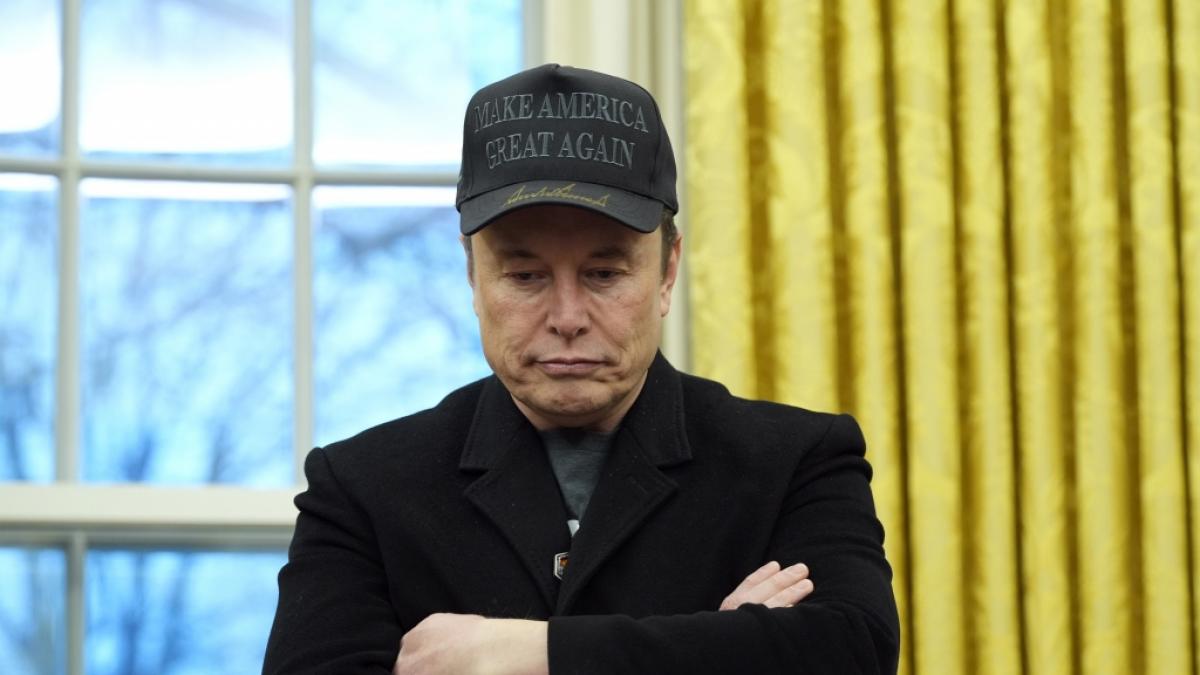 Eine rechte Influencerin will ein Baby mit Elon Musk bekommen haben. (Foto)