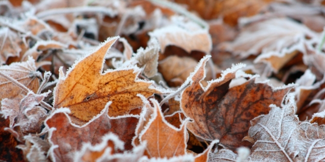 Minus 10 Grad im November?