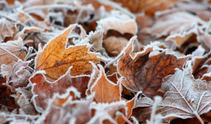 Minus 10 Grad im November?