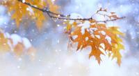 Wettervorhersage aktuell: Das Wetter beschert uns in der kommenden Woche eine wahre Achterbahnfahrt! Von Hitze über Sturm bis hin zu Schnee bis in tiefe Lagen ist alles dabei.