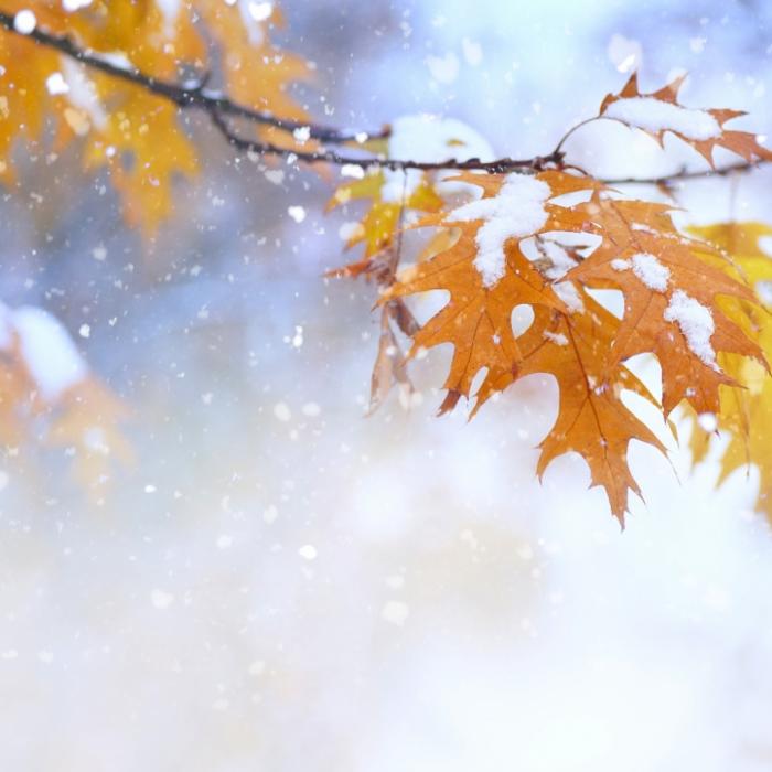 25 Grad, Orkansturm, Schnee! Wetterdienst warnt vor Wintereinbruch