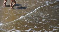 An der Nord- und Ostsee wartet in den Sommermonaten willkommene Abkühlung im Wasser - doch es lauert auch eine tödliche Gefahr in Gestalt von Vibrionen.