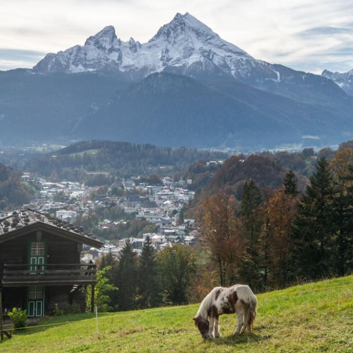 Bergsteiger (59) stürzt 200 Meter in die Tiefe - tot!