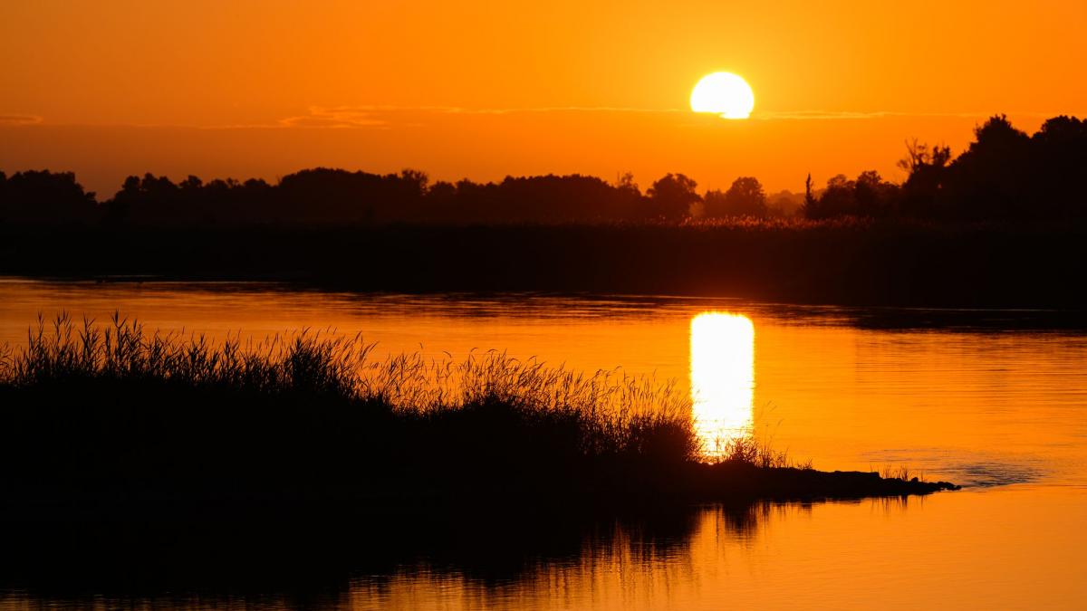 Die Sonne geht am fr&uuml;hen Morgen &uuml;ber dem Fluss Oder auf und spiegelt sich in einer breiten Lichtbahn auf der Wasseroberfl&auml;che. (Foto)