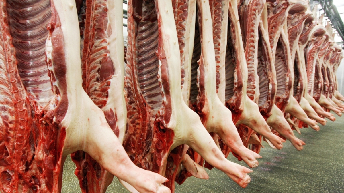 Gelatine ist ein Abfallprodukt der Fleischindustrie und wird aus Knochen gewonnen. (Foto)