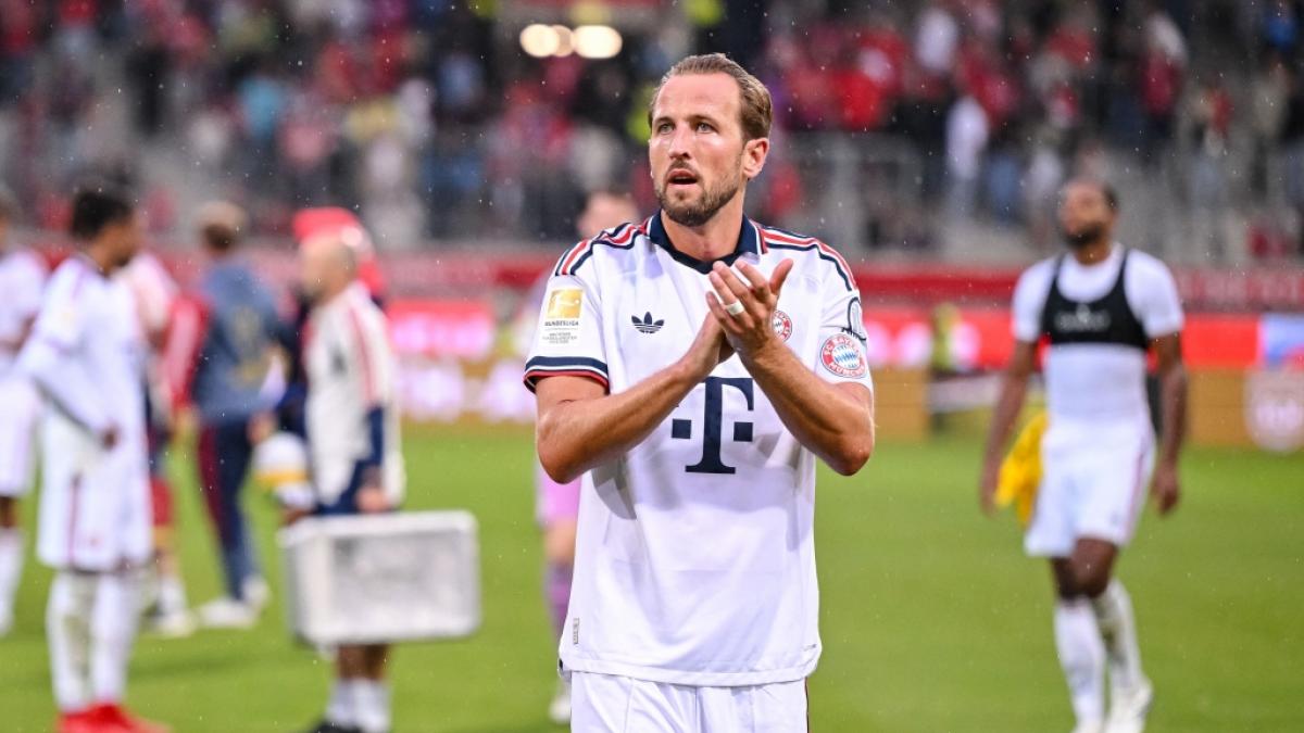 Der englische Nationalspieler Harry Kane geht in der Bundesliga f&uuml;r Bayern M&uuml;nchen auf Torejagd. (Foto)