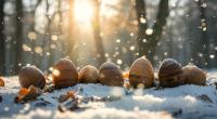 Bricht der Polarwirbel schon bald zusammen? 