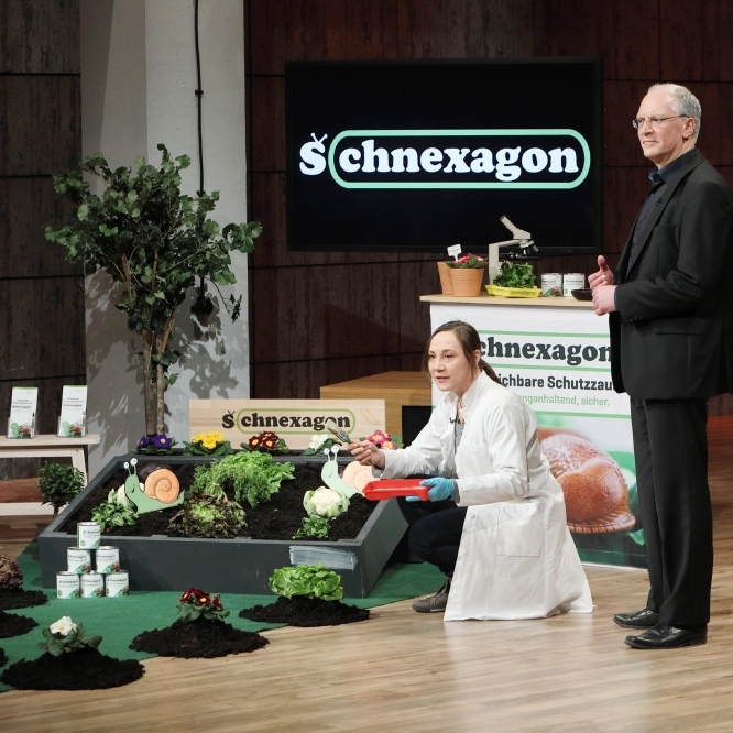 Inhaltsstoffe, Test, Preis: Das taugt der Schnecken-Schreck aus 