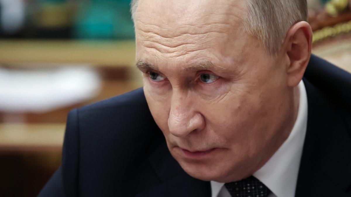 Wladimir Putin (Foto) wurde von einem Berater vor den Folgen des Ukraine-Krieges gewarnt. (Foto)