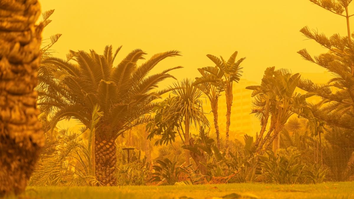 Meteorologen warnen vor einer Calima auf den Kanarischen Inseln. (Foto)