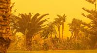 Meteorologen warnen vor einer Calima auf den Kanarischen Inseln.