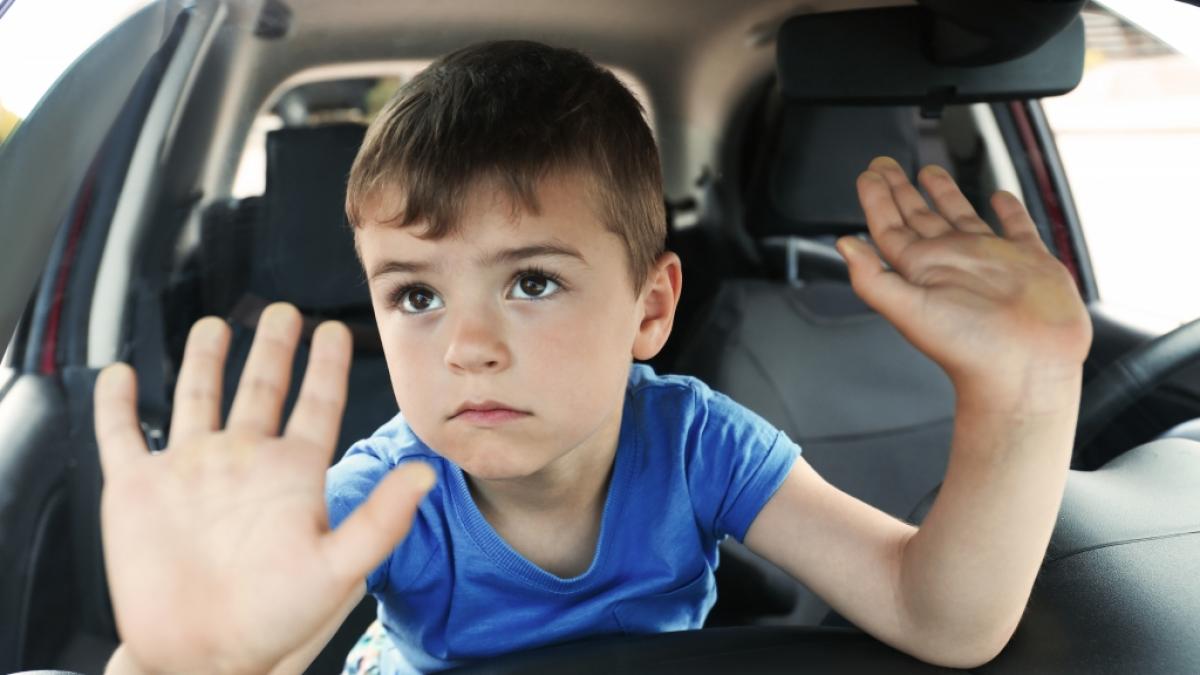 Tragischer Hitze-Tod. Zwei Br&uuml;der starben in einem &uuml;berhitzten Auto. (Symbolfoto) (Foto)