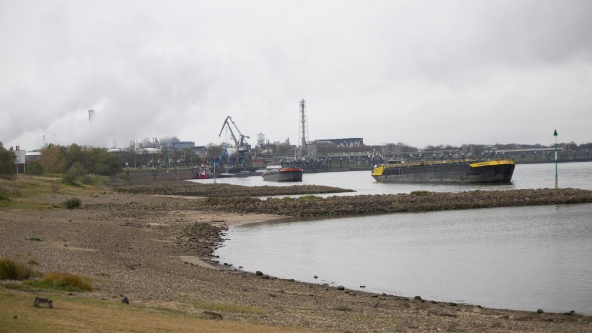 Am 15.11.2021 war im Hafen im Stadtteil Niehl die Leiche einer 24-J&auml;hrigen gefunden worden. Tags darauf haben Spazierg&auml;nger dann den leblosen K&ouml;rper des vierj&auml;hrigen Sohnes im Stadtteil Worringen an Land gezogen. (Foto)