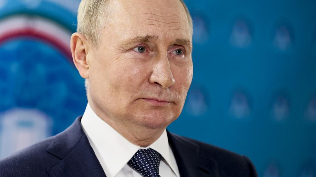 Wladimir Putin soll laut einer Nato-Analyse seine Luftstreitkr&auml;fte bewusst geschont haben. (Foto)