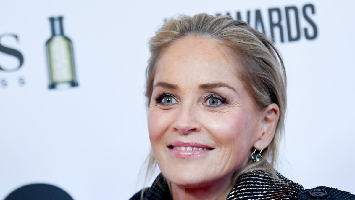 Sharon Stone ist 66: Mit einem neuen Bikini-Foto bei Instagram beweist sie, wie fantastisch sie immer noch aussieht. (Foto)