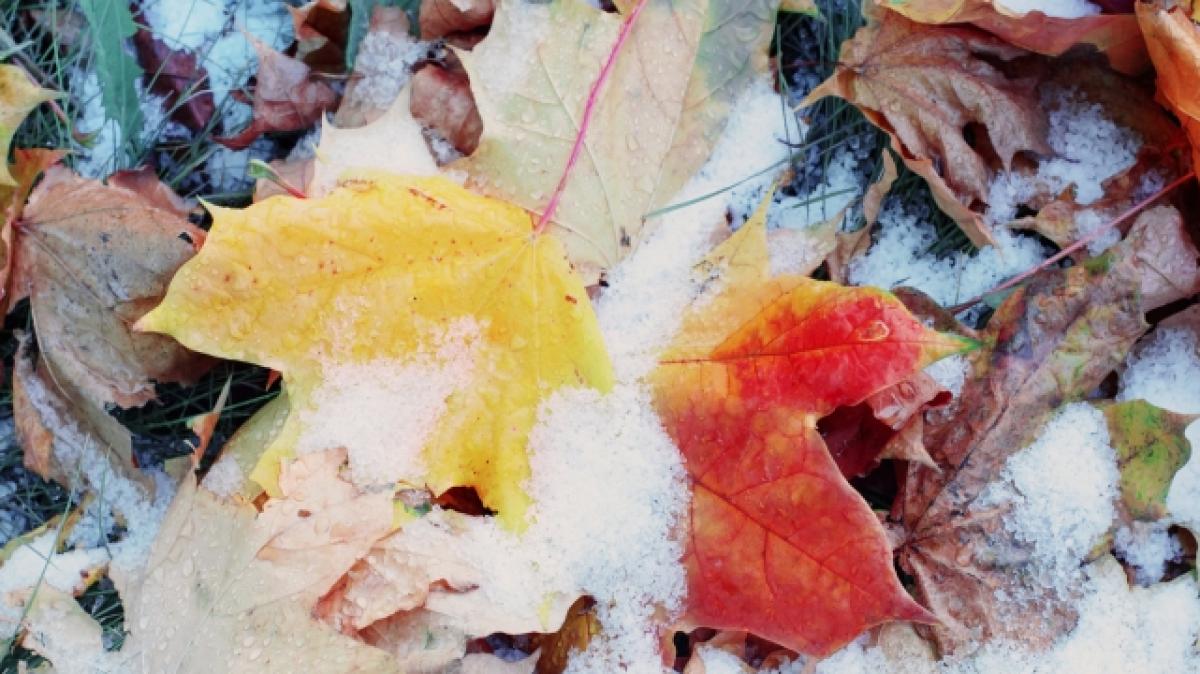 Droht uns bereits im Oktober ein eisiger Wintereinbruch? (Foto)