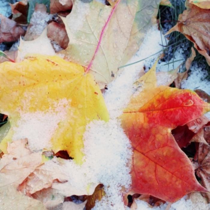 Wintereinbruch im Oktober? DAS prophezeit der 100-jährige Kalender